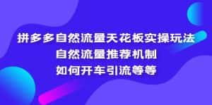 （5327期）拼多多自然流量天花板实操玩法：自然流量推荐机制，如何开车引流等等-优优云创