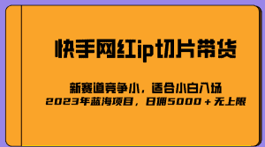 （5346期）2023爆火的快手网红IP切片，号称日佣5000＋的蓝海项目，二驴的独家授权-优优云创