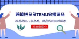 （5402期）跨境拼多多TEMU实操选品运营方法，选品避坑12条标准，爆款的底层思路等-优优云创