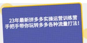 (5435期)23年最新拼多多实操运营训练营:手把手带你玩转多多各种流量打法!-副业吧