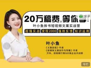 叶小鱼21天短视频文案拆书营，学完轻松搞定各类书单短视频文案-副业吧