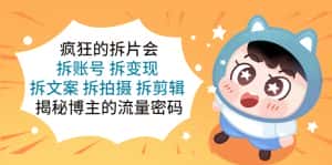 （5489期）疯狂的拆片会：拆账号 拆变现 拆文案 拆拍摄 拆剪辑  揭秘博主的流量密码-优优云创