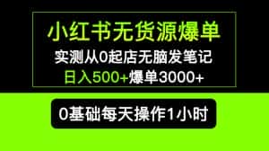 （5494期）小红书无货源爆单 实测从0起店无脑发笔记 日入500+爆单3000+长期项目可多店-优优云创