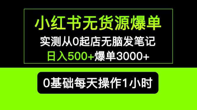 （5494期）小红书无货源爆单 实测从0起店无脑发笔记 日入500+爆单3000+长期项目可多店-优优云创