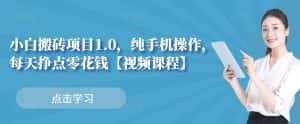 小白搬砖项目1.0,纯手机操作,每天兼职挣点零花钱-副业吧