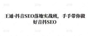 王通·抖音SEO落地实战班,手手带你做好音抖SEO-副业吧