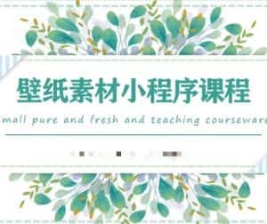 闪闪壁纸号运营教程，抓住图文风口，快速吸粉变现-副业吧