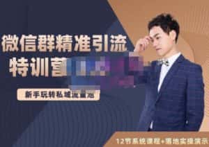 陆明明·微信群精准引流特训营3.0，借助微信群进行引流操作，打造私域流量池-副业吧