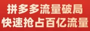 阿杰·拼多多流量破局:如何打黑标，爆款的思路，拼多多流量框架，快速抢占百亿流量-副业吧
