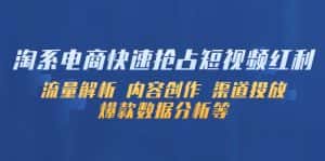 （5538期）淘系电商快速抢占短视频红利：流量解析 内容创作 渠道投放 爆款数据分析等-优优云创