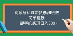 （5544期）视频号私域带货暴利玩法，简单粗暴，一部手机实现日入300+-优优云创