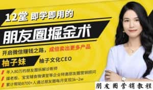 【营销必学】12堂学之即用的朋友圈掘金术：开启你的副业赚钱之路-副业吧