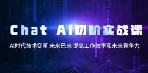 （5610期）Chat AI初阶实战课，AI时代技术变革 未来已来 提高工作效率和未来竞争力-优优云创