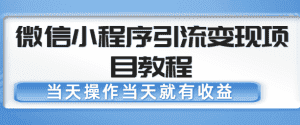 微信小程序引流变现项目教程，当天操作当天就有收益，变现不再是难事-优优云创