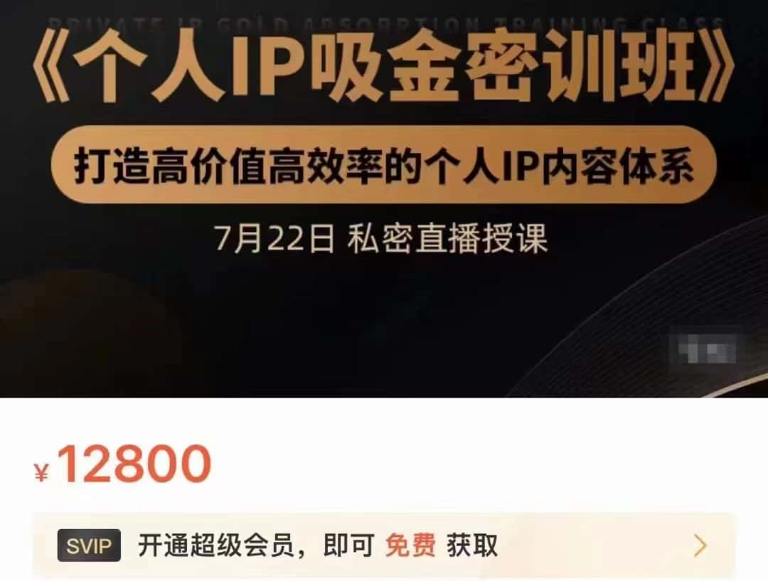 个人IP吸金密训班，打造高价值高效率的个人IP内容体系（价值12800元）-优优云创