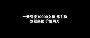 （5647期）一天引流10000女粉，博主粉教程揭秘（价值两万）-副业吧