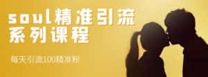 soul精准引流系列课程，每天引流100精准粉-优优云创