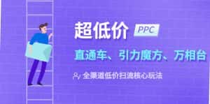 （5659期）2023超低价·ppc—“直通车、引力魔方、万相台”全渠道·低价扫流核心玩法-优优云创