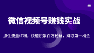 微信视频号赚钱实战：抓住流量红利，快速积累百万粉丝，赚取你的第一桶金-副业吧