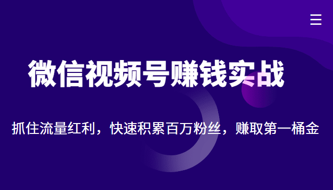 微信视频号赚钱实战：抓住流量红利，快速积累百万粉丝，赚取你的第一桶金-副业吧