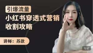 苏歆：小红书穿透式营销收割攻略，引爆流量，助你玩转小红书-优优云创