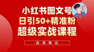 （5710期）小红书图文号日引50+精准流量，超级实战的小红书引流课，非常适合新手-优优云创