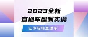 （5714期）2023全新直通车·盈利实操：从底层，策略到搭建，让你玩转直通车-优优云创