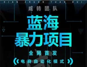 引流哥蓝海暴力躺赚项目：无需发圈无需引流无需售后，每单赚50-500（教程+线报群)-优优云创