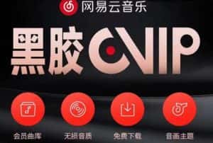 网易云音乐撸黑胶年卡及变现方法，收益可无限放大-优优云创