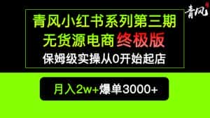 （5723期）小红书无货源电商爆单终极版【视频教程+实战手册】保姆级实操从0起店爆单-优优云创