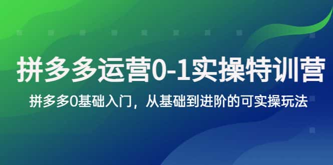 （5747期）拼多多-运营0-1实操训练营，拼多多0基础入门，从基础到进阶的可实操玩法-优优云创