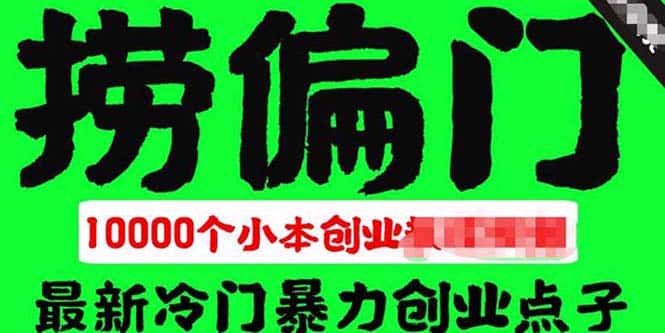 （5750期）千款捞偏门小本创业小项目，总有一款适合你【无水印】-优优云创