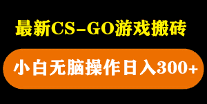 （5760期）最新csgo游戏搬砖游戏，无需挂机小白无脑也能日入300+-优优云创