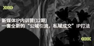 新媒体IP内训营(12期)，一套全新的“公域引流，私域成交”IP打法，直接带走-优优云创