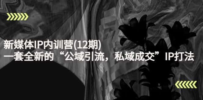 新媒体IP内训营(12期)，一套全新的“公域引流，私域成交”IP打法，直接带走-优优云创