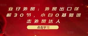 业仔外贸:外贸出口详解30节,小白0基础进击外贸达人 价值666元-优优云创