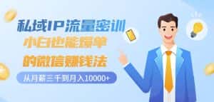 私域IP流量密训：小白也能爆单的微信赚钱法，从月薪三千到月入10000+-优优云创