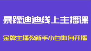 暴躁迪迪线上主播课,金牌主播教新手小白如何开播-副业吧