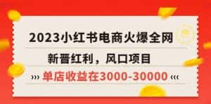（5840期）2023小红书电商火爆全网，新晋红利，风口项目，单店收益在3000-30000！-优优云创