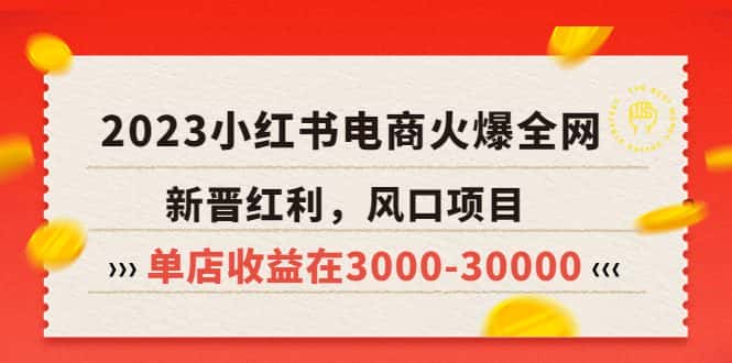 （5840期）2023小红书电商火爆全网，新晋红利，风口项目，单店收益在3000-30000！-优优云创