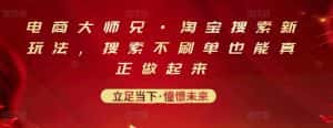 电商大师兄·淘宝搜索新玩法，搜索不刷单也能真正做起来-优优云创