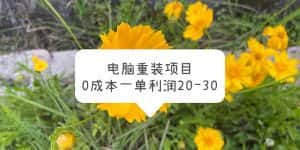 （5882期）电脑系统重装项目，0成本一单利润20-30-优优云创