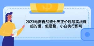 （5956期）2023电商自然流七天正价起号实战课：起的慢，但是稳，小白执行即可！-副业吧