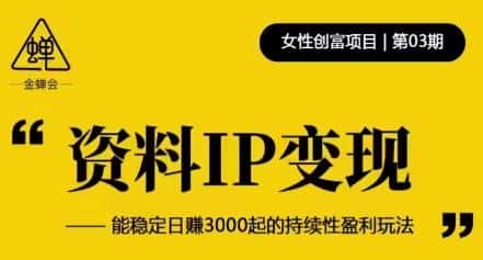 资料IP变现，能稳定日赚3000起的持续性盈利玩法-优优云创