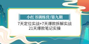 （6016期）小红书训练营/第九期：7天定位实战+7天爆款拆解实战，21天爆款笔记实操-优优云创