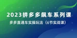 （6030期）2023拼多多飙车系列课，多多直通车实操玩法（6节实战课）-优优云创