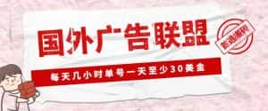 外面收费1980的最新国外LEAD广告联盟搬砖项目，单号一天至少30美金【详细玩法教程】-副业吧