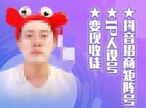 抖音招商矩阵号＋IP人设号+变现收徒，教你如何做抖音，通过抖音如何变现-副业吧