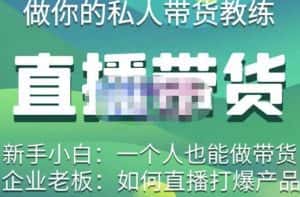 硬核传媒·直播带货（私人教练），实操实战教学，通俗易懂，学完后新手小白一个人也能做带货-优优云创