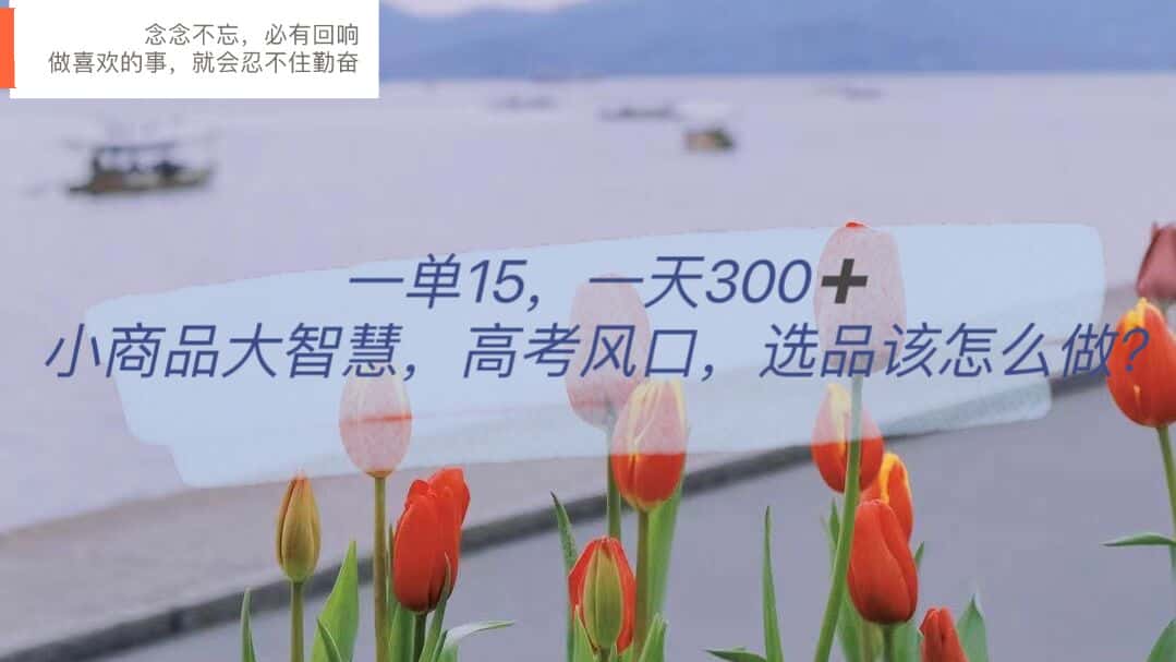 （6077期）一单15，一天300+，小商品大智慧，高考风口，选品该怎么布局-优优云创